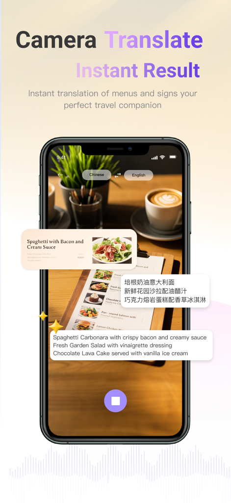 ViiTor TranslateアプリがARカメラ機能を使用して中国語のレストランメニューを英語に翻訳
