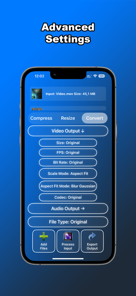 Interface des paramètres avancés de l'application Convertisseur Vidéo 4K montrant les options de sortie vidéo et audio sur un iPhone.