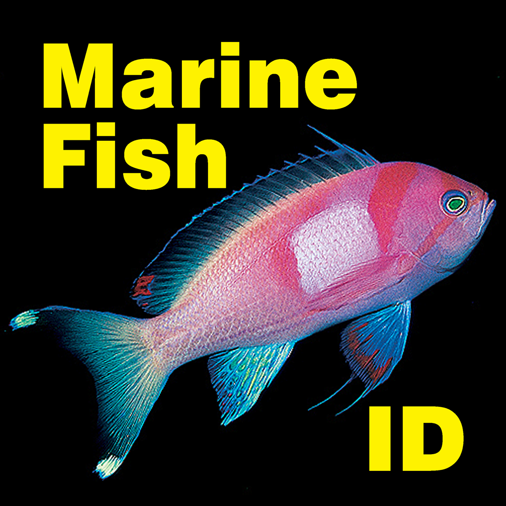 Marine Fish Great Barrier Reef - Reference App | MWM