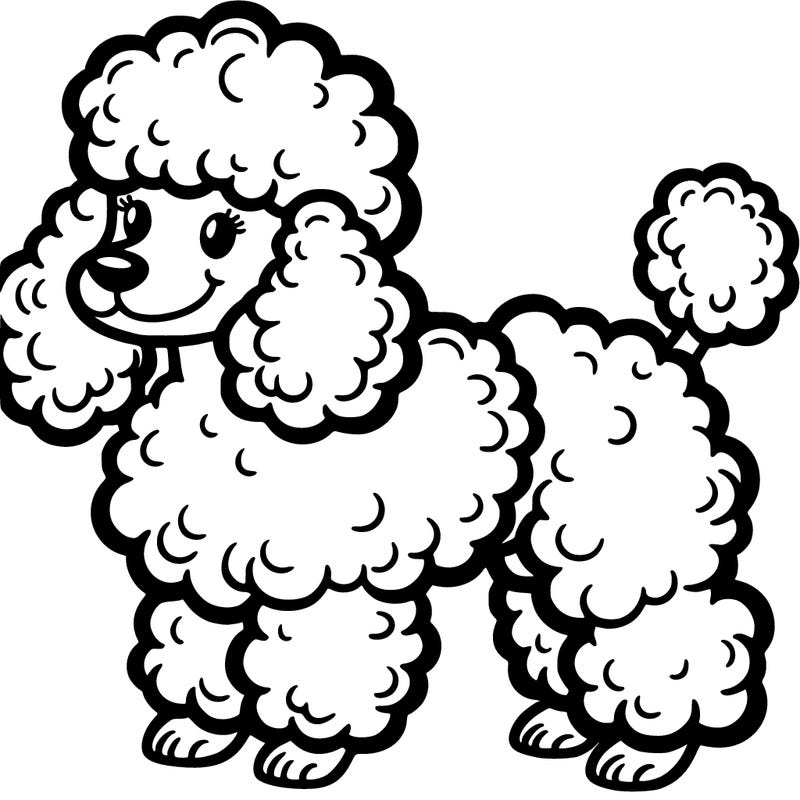 poodle dog