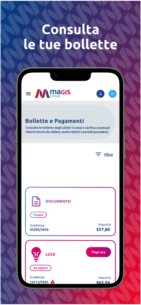 Magis Energia - Magis Energia 모바일 앱 인터페이스, 유틸리티 요금 내역 및 결제 버튼 표시
