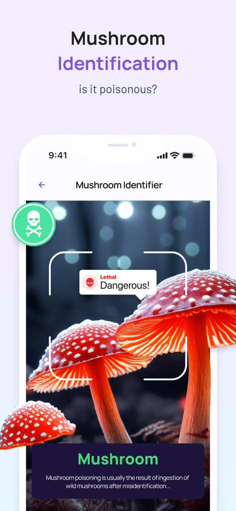6Sense AI - Interfaccia dell'app 6Sense AI che mostra l'identificazione dei funghi con un avviso letale per un fungo rosso e bianco
