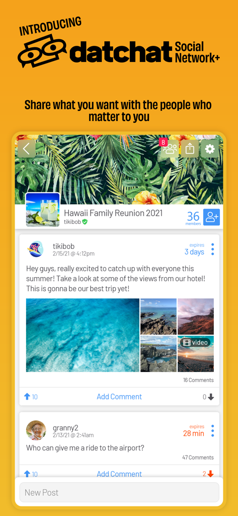 암호화 및 자동 삭제 게시물이 있는 비공개 가족 모임 그룹 피드를 보여주는 DatChat 앱 인터페이스