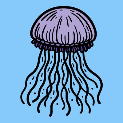 jellyfish outline, simple