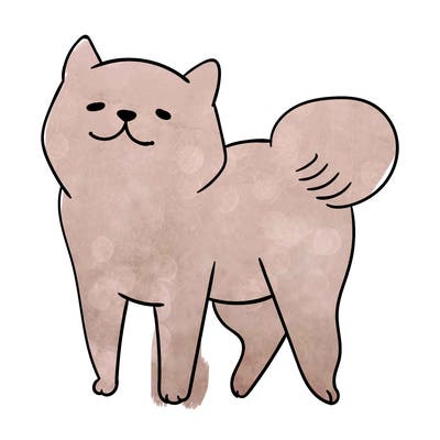 animals_29