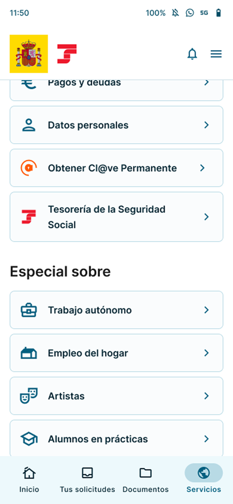 The services menu of the Importass Seguridad Social app showing options for self-employment and domestic work