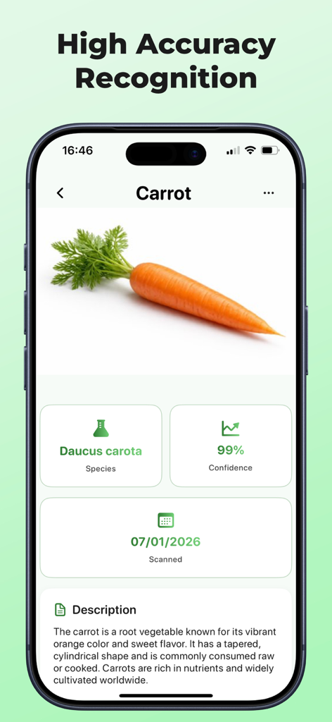 Vegetable Identifier: Scan AI - Mobile app interface showing AI recognition of a carrot with 99 percent confidence and botanical details