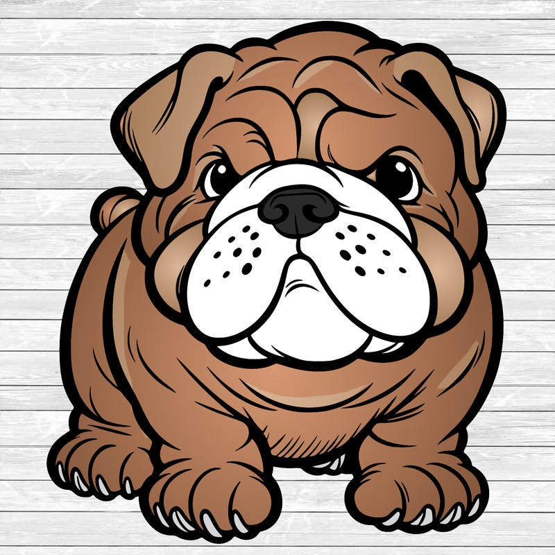 bulldog