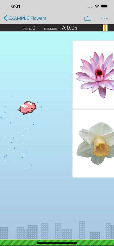 Flashcards by NKO: Flash Cards - A flappy-style educational game in the Flashcards by NKO app showing flower flashcards and a flying pig