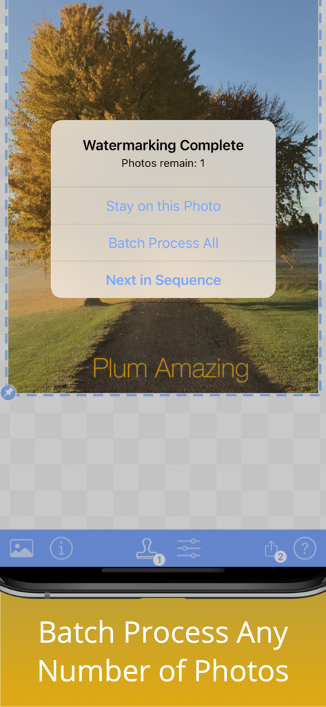 iWatermark+ Watermark Add Logo - iWatermark plus app interface showing the batch photo watermarking completion dialog and options