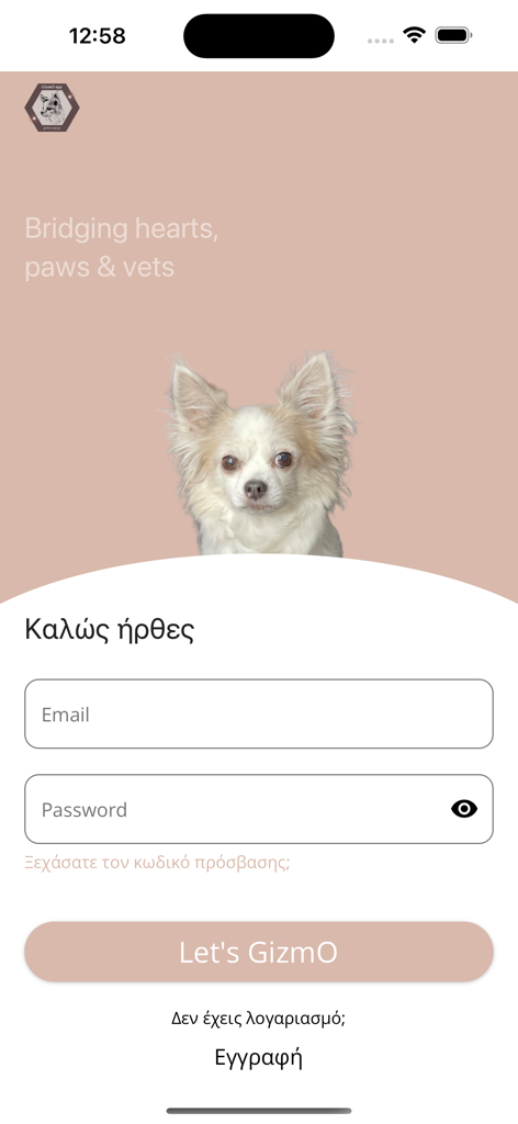 GizmO app - Schermata di accesso dell'app GizmO con un cane bianco soffice e campi per email e password