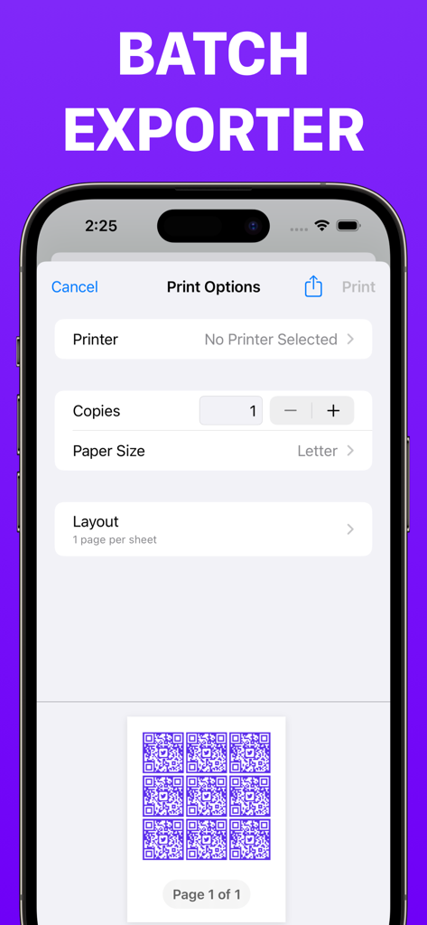 QR Code Generator - QRKit - Interface of QRKit app showing batch printing options for multiple custom QR codes