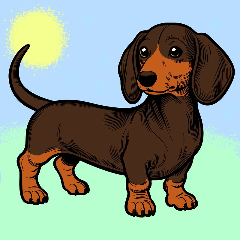 dashund realistic