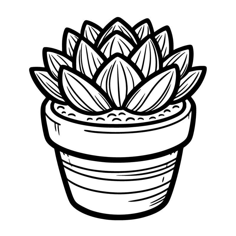 a small potted succulent with thick, layered leaves