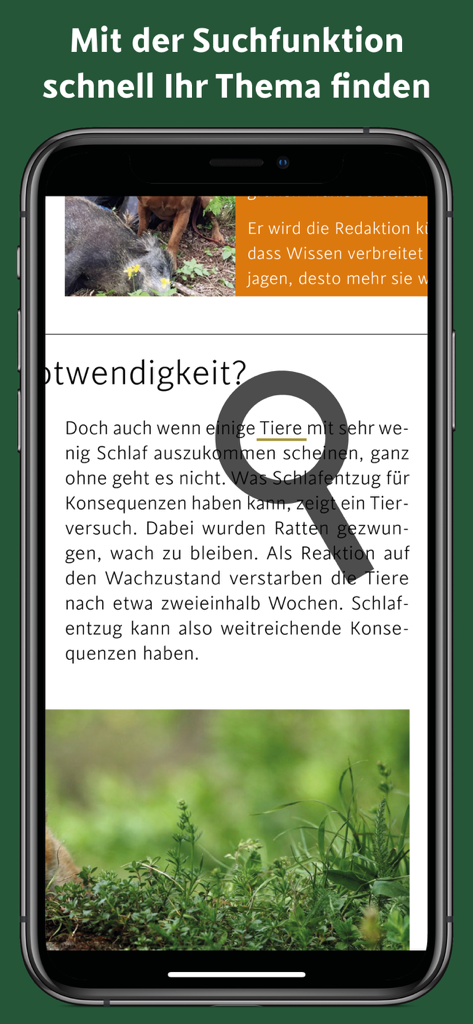 Search feature interface in the Schweizer Jaeger hunting magazine app