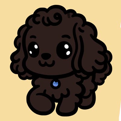 cavapoo