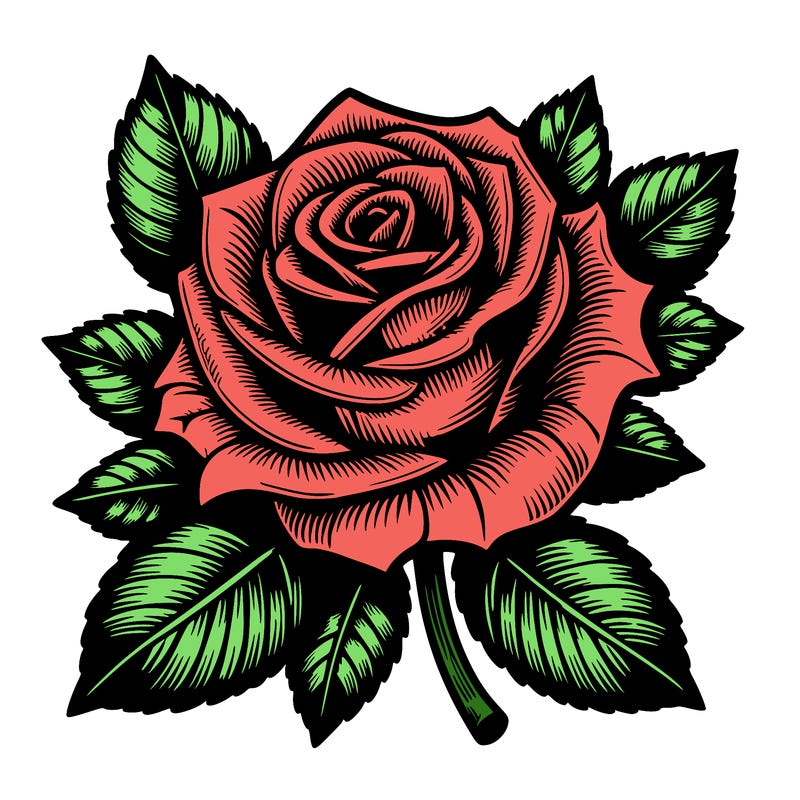 realistic detailed rose