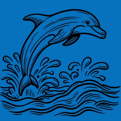 dolphin jumping