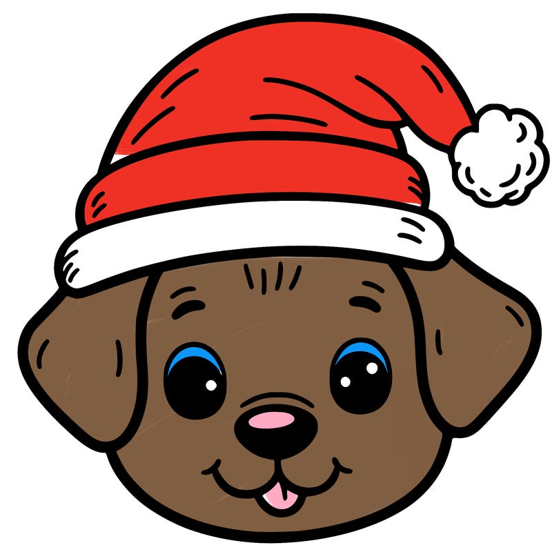 dog with a santa hat