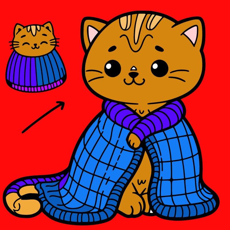 a cat with a tiny blanket