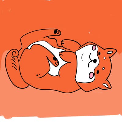 animals_30
