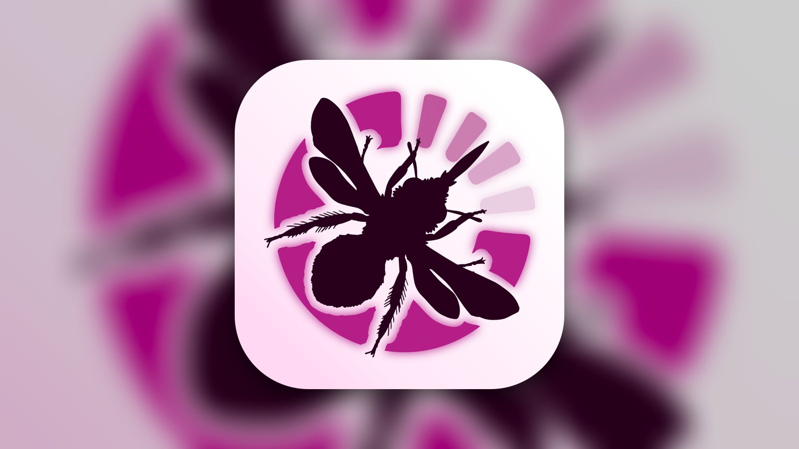 FIT Count - Reference App | MWM