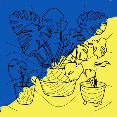 flowers_25