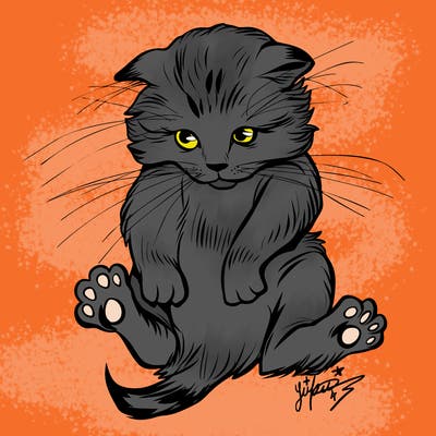 animals_20