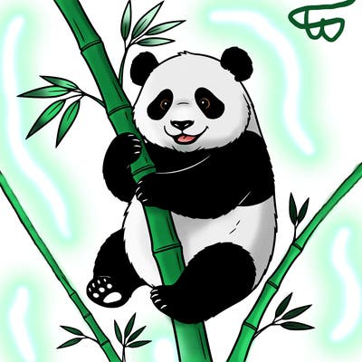 🐼