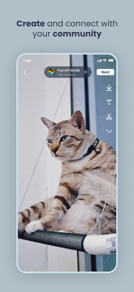 A screenshot of the Scoopz app showing a video of a cat being shared to the FurryFriends community circle.