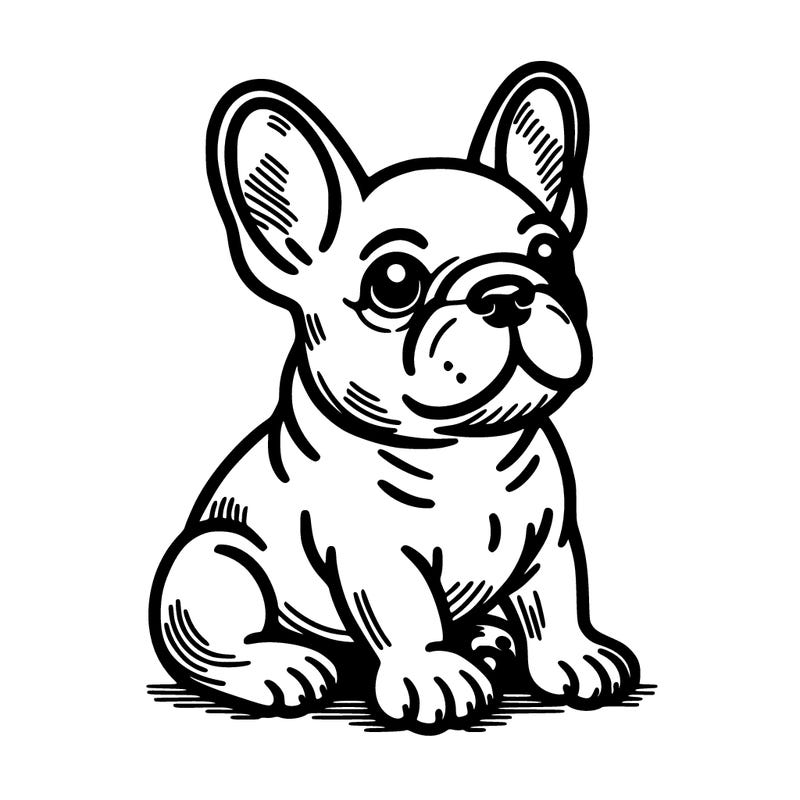 french bulldog