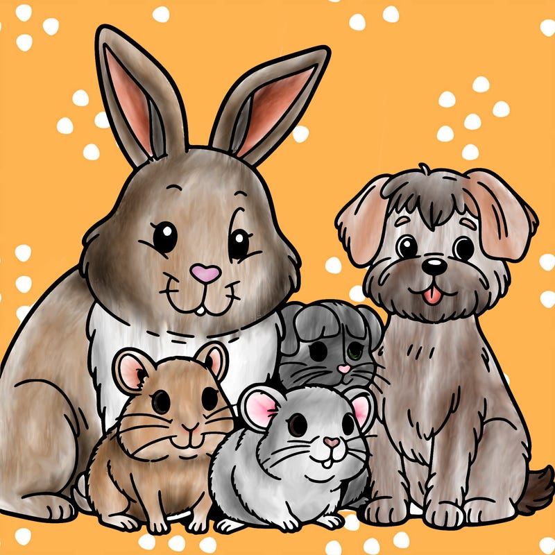 rabbits and hamster and dog