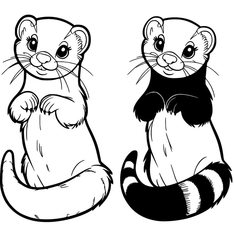 ferret
