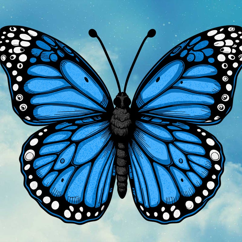butterfly realistic