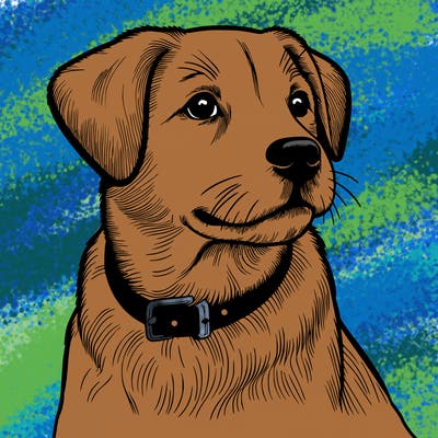 dog realistic