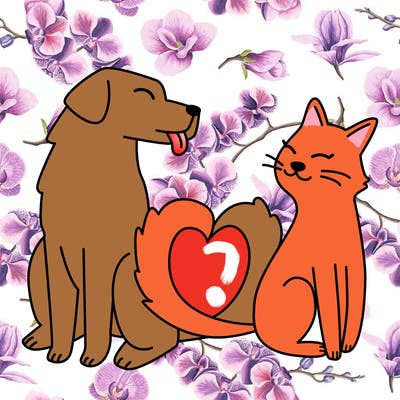 animals_22
