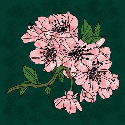 flowers_03