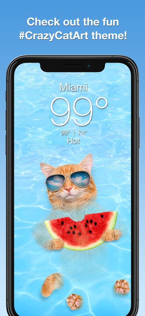 Un gato en una piscina con gafas de sol y una sandía en la pantalla de la aplicación Weather Kitty mostrando el tiempo caluroso en Miami