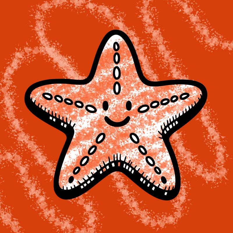 starfish