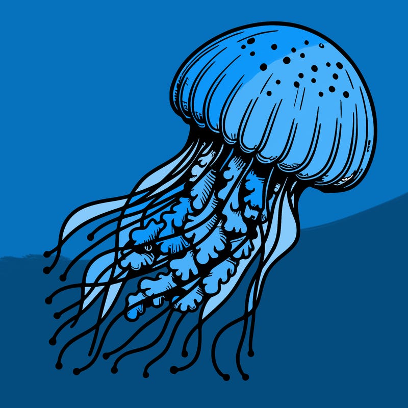 realistic jellyfish