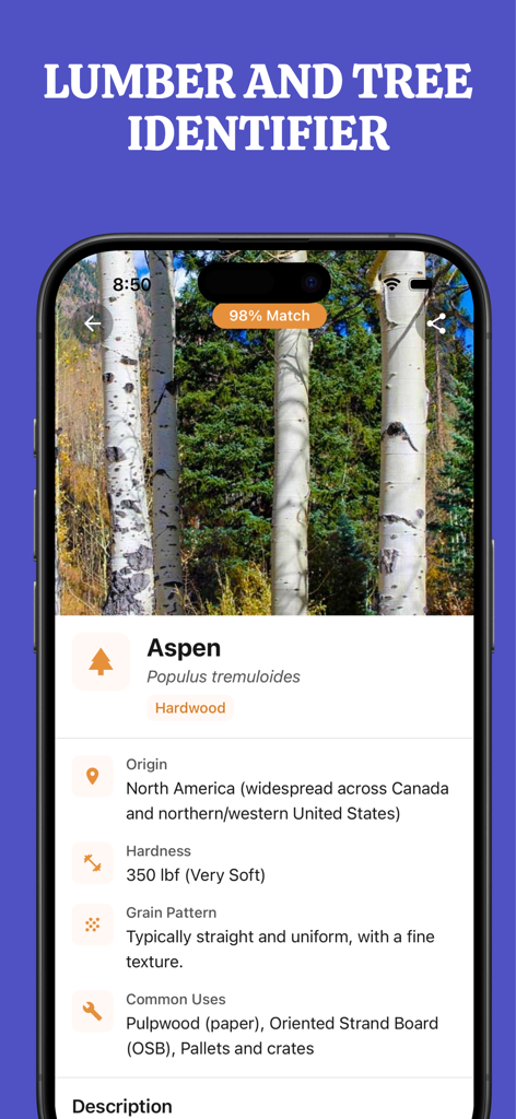 Wood identifier - Wood ID - A mobile screen showing the Wood ID app with an Aspen tree identification result including species details and hardness ratings.