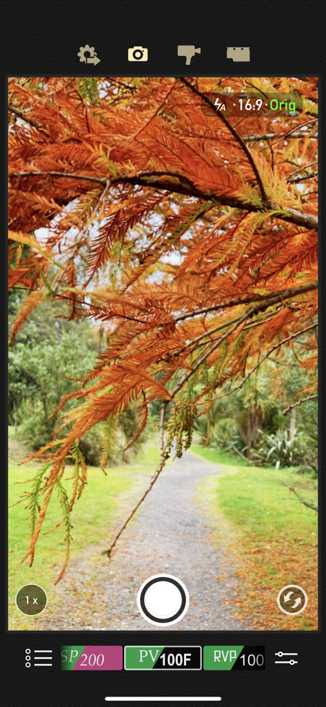 8mm Vintage Camera - Interface of 8mm Vintage Camera app capturing a park path with autumn tree branches and retro film filters