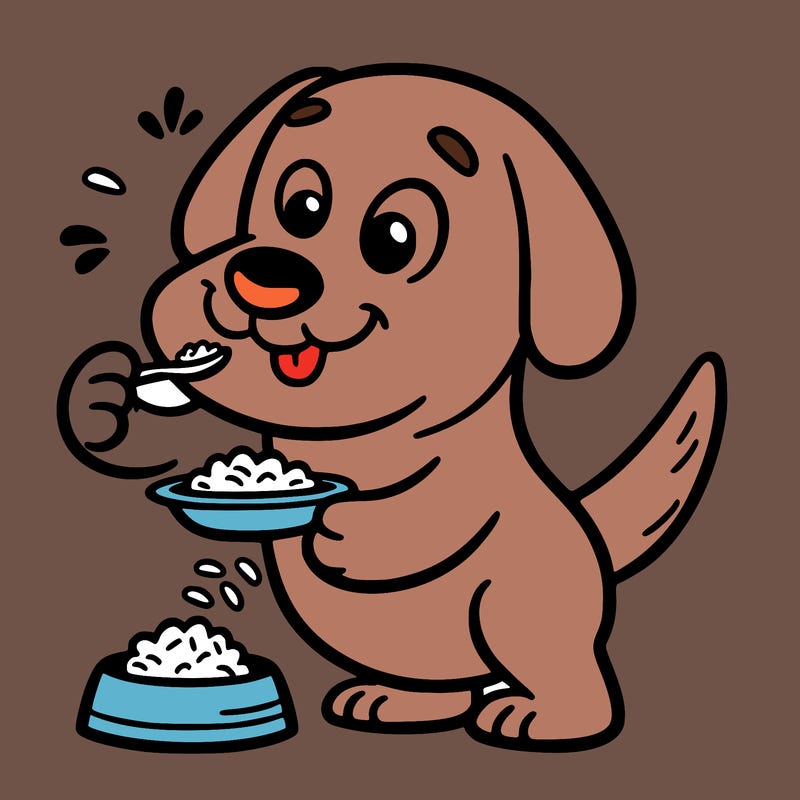 funny dog that likes to eat rice