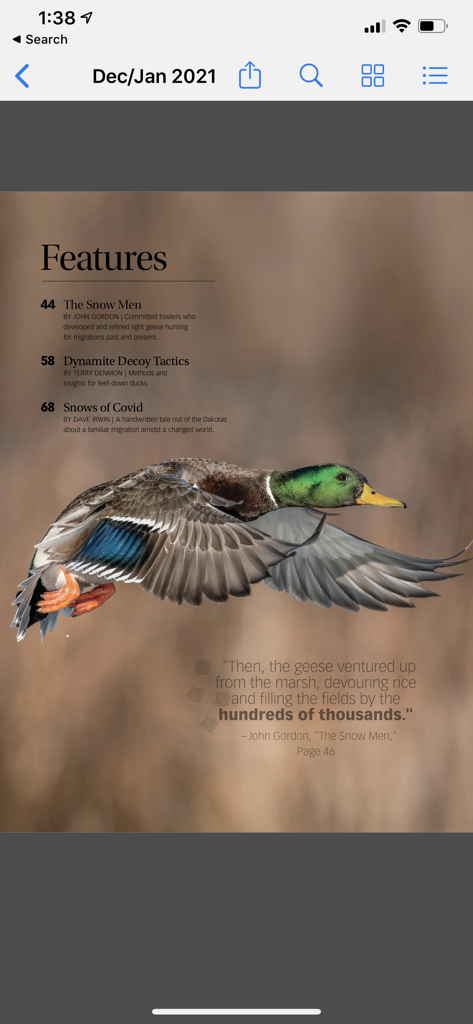 Wildfowl Magazine - Digital magazine page showing a table of contents with a mallard duck in flight.