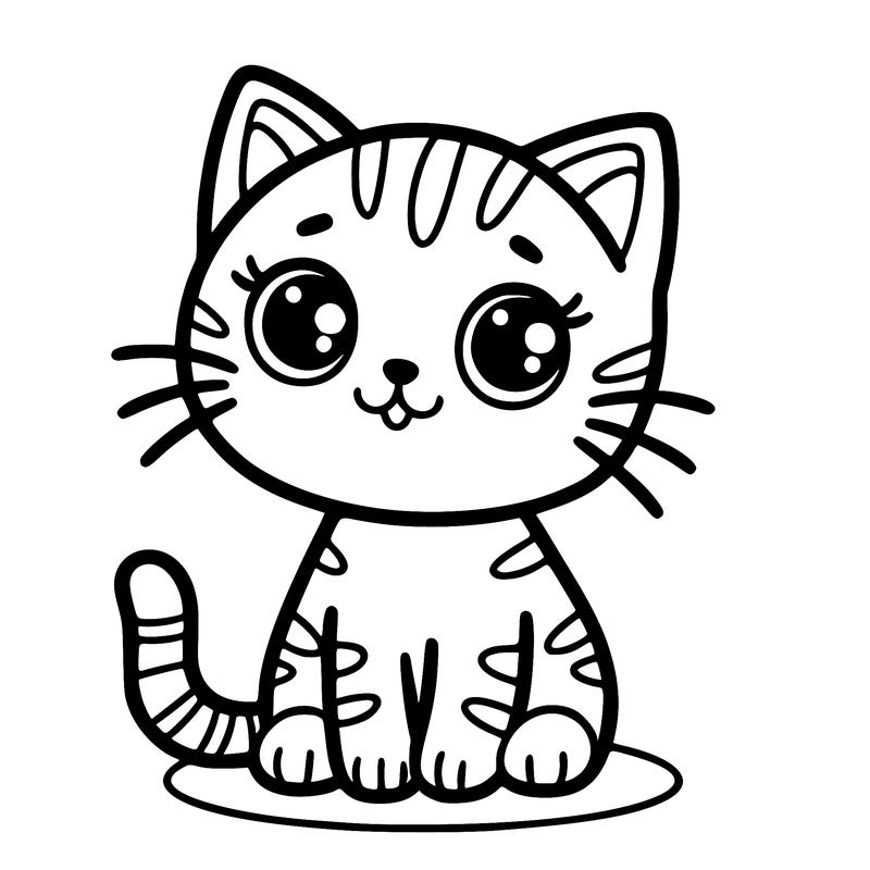kitty