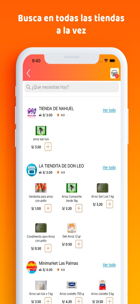 Llamafood app interface showing a search bar and a list of local stores and grocery products.