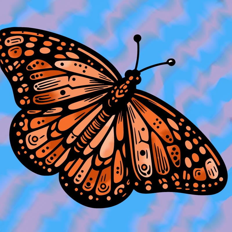 monarch butterfly (danaus plexippus)