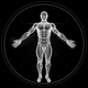 BodBot AI Personal Trainer