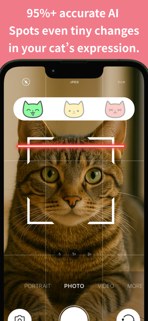 CatsMe - CatsMe app interface using AI to scan a cat's face for pain detection with 95 percent accuracy