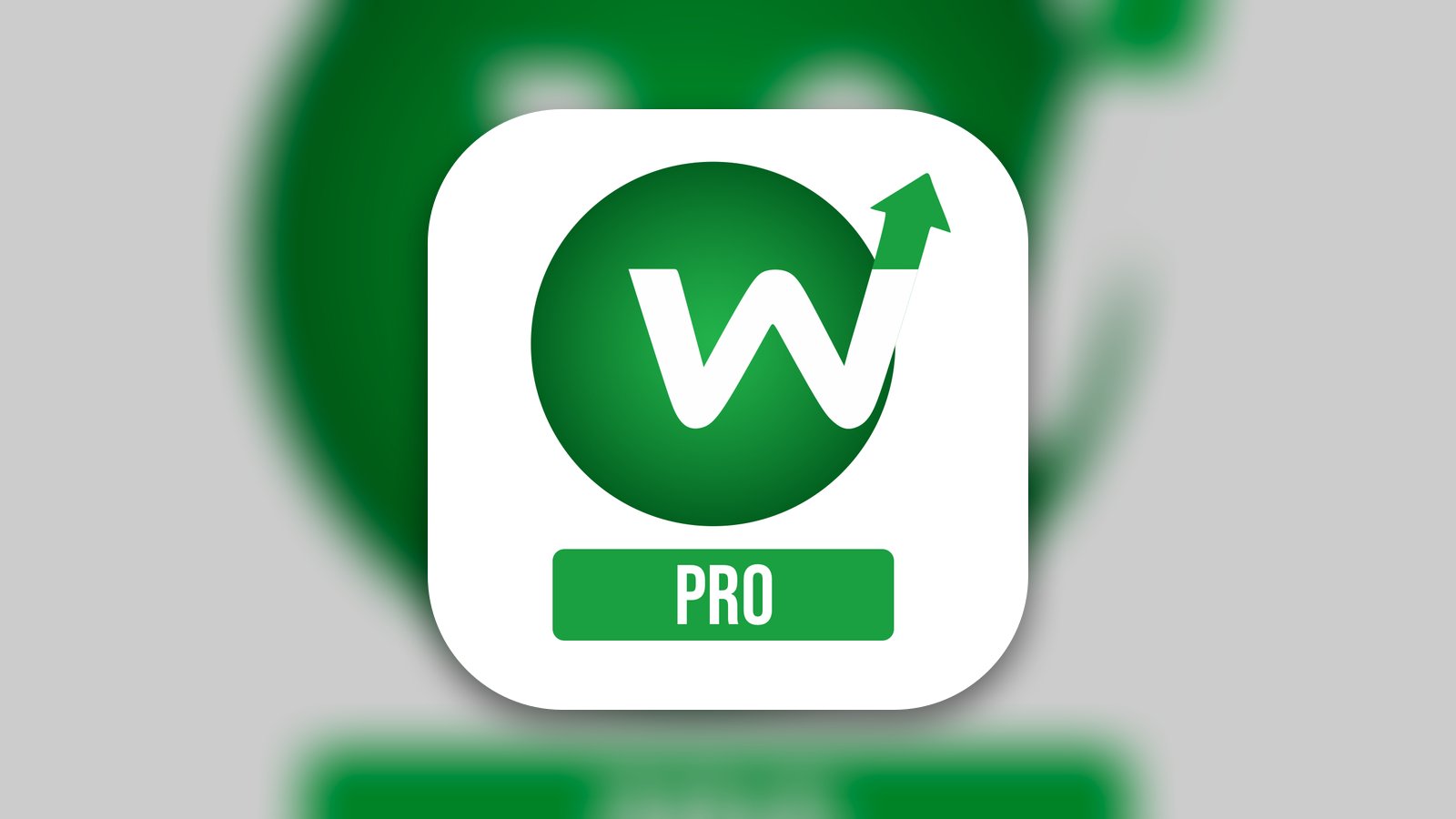 Wely Pro - Finance App | MWM